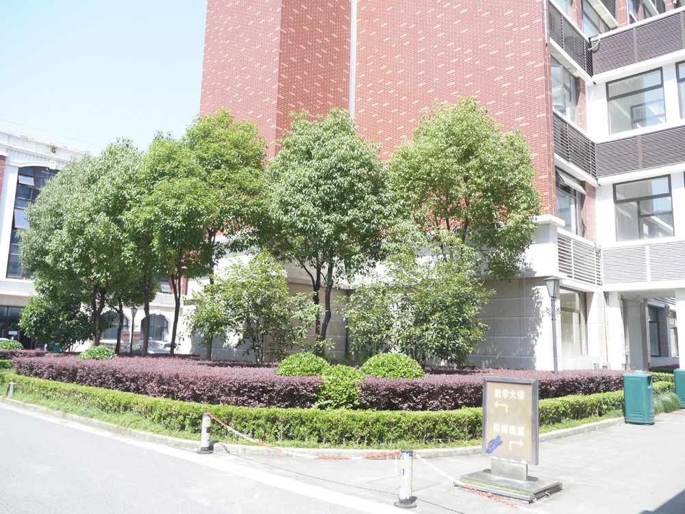 SIFEC校园外景 第 9 张