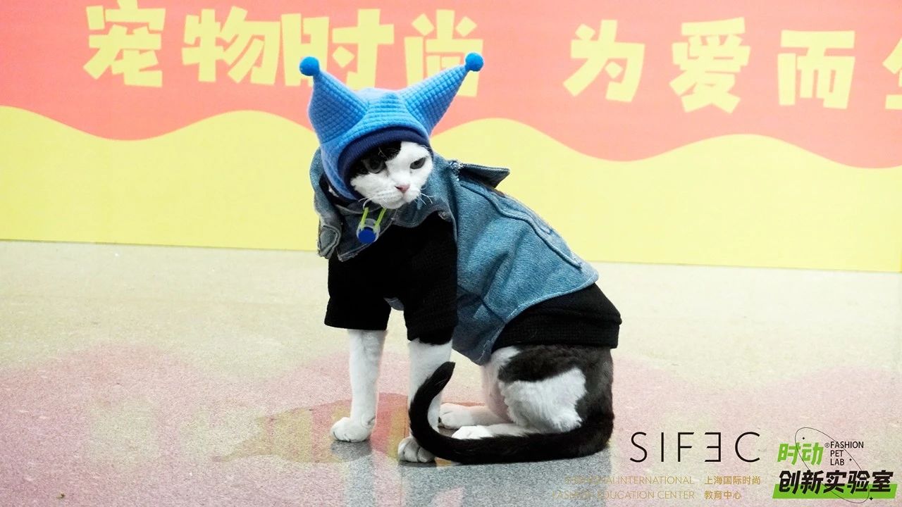 微信图片_20240223145113.jpg
