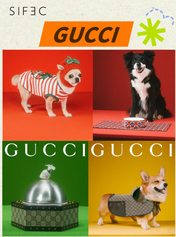 398c545e3c49b99b345d19321f59327.png