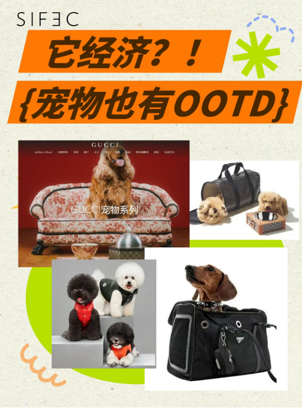 bf4df2775483ee32ef086836a769cb2.png