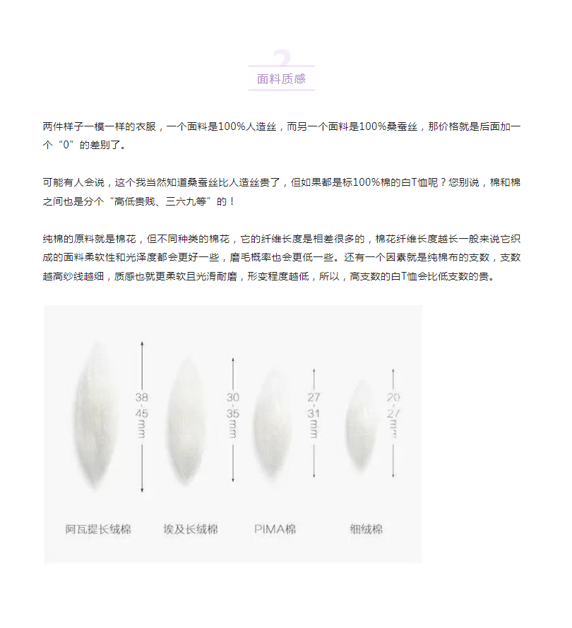 3d84944c4339962cb1a6ce34a377531.png